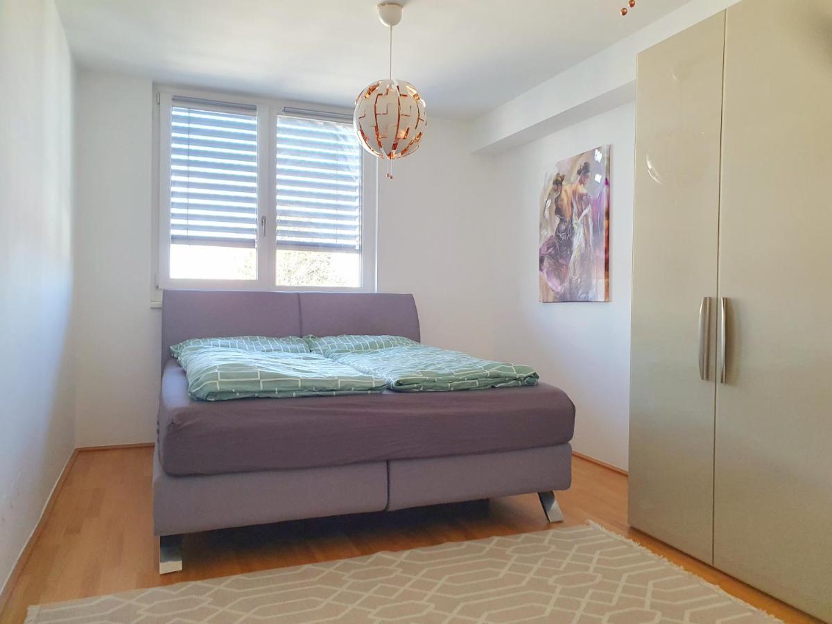 Near Lake Two Bedroom Duplex Apartment فيينا المظهر الخارجي الصورة